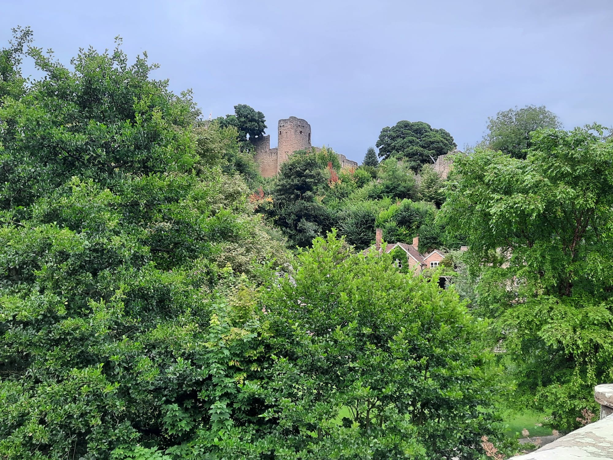 Another fab evening with Elgar Rotary – an amazing tour of Ludlow